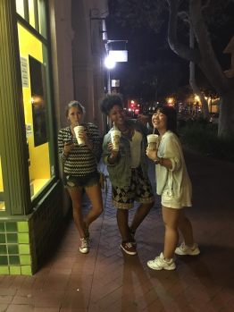 Vanille article picture 1