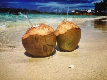 jessi f coconuts.jpg