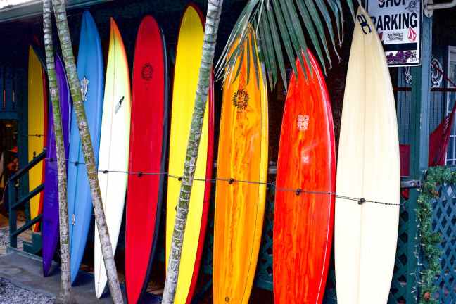 assorted colors of surfboard