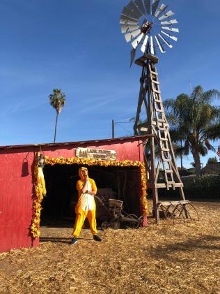 44dd44d1-d844-4fd8-aa00-c15028265142