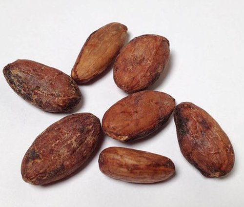 Bildergebnis fÃ¼r cocoa bean